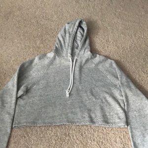 Gray Cropped Sweatshirt